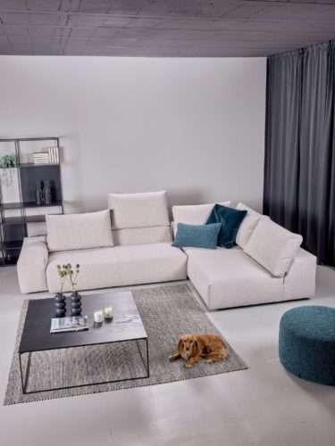 bullfrog domino hoch