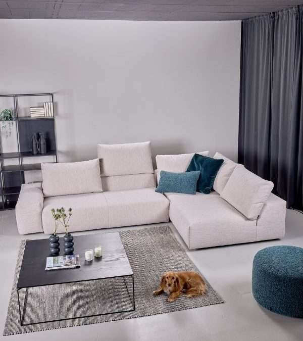 Neues Bullfrog Modell ist da!